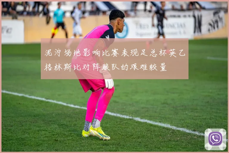 泥泞场地影响比赛表现足总杯英乙格林斯比对阵狼队的艰难较量