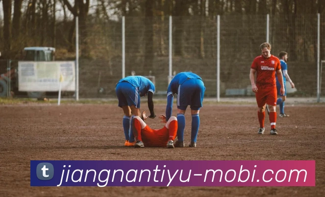 多媒体互动体验